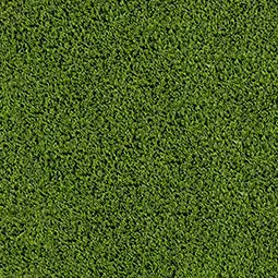 EVERGRASS Artificial Turf