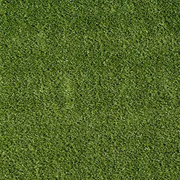 EVERGRASS Artificial Turf